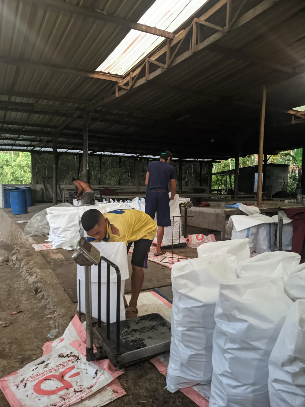 Penimbangan dan pengemasan di gudang
